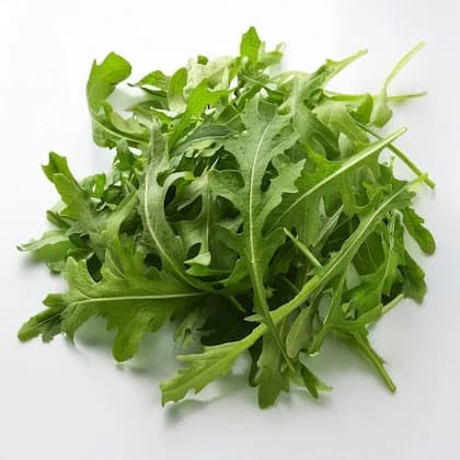 Arugula