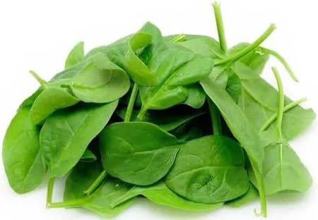 Baby Spinach