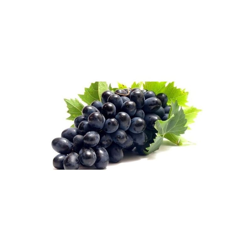 Indian Black Jumbo Grapes