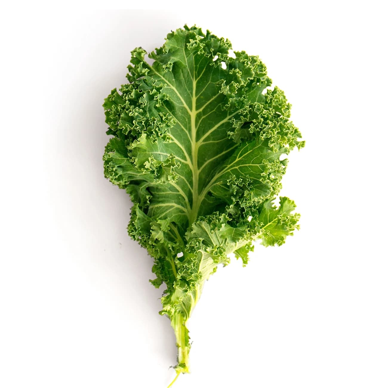Curly Kale
