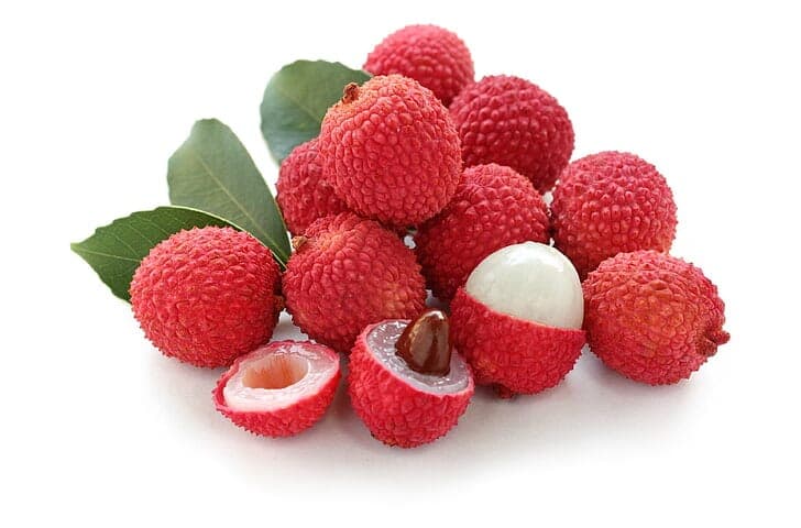 Indian Lychee