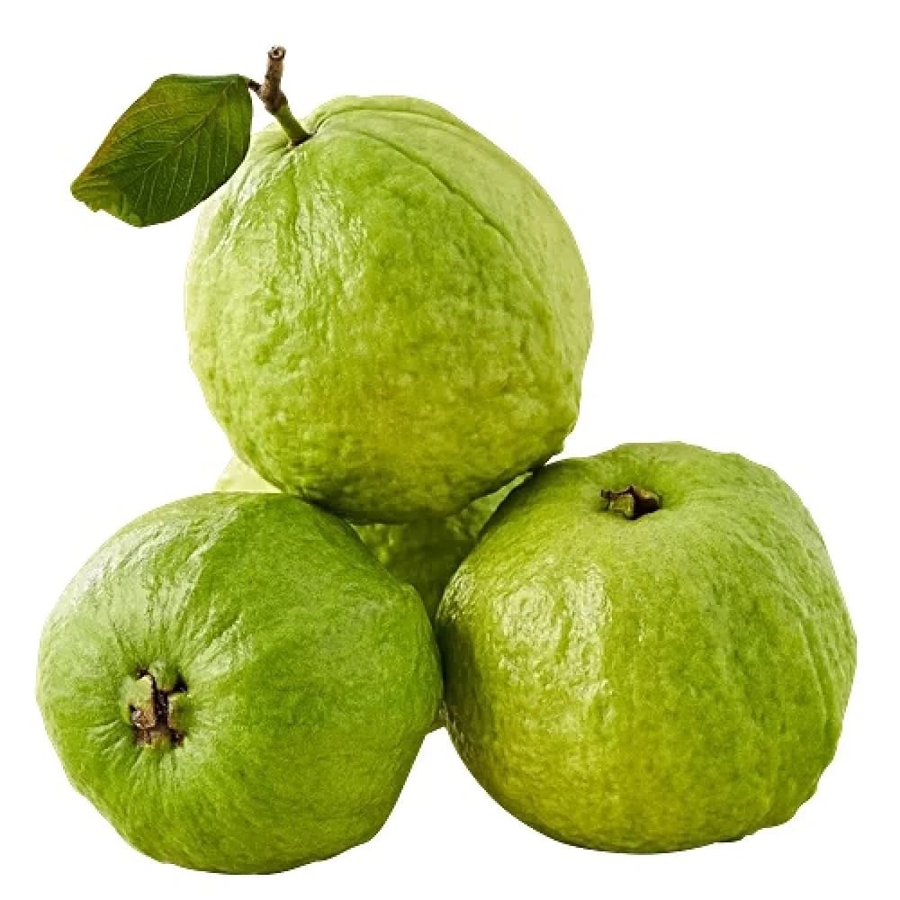 Indian Guava