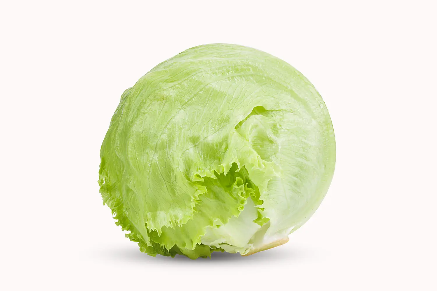Iceberg Lettuce