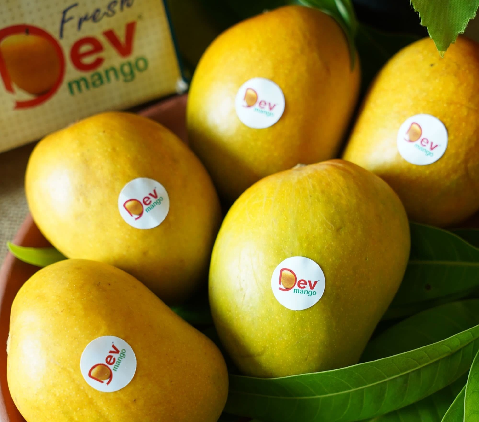 Dev Alphonso Mango®