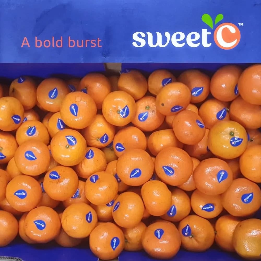 Mini Mandarins