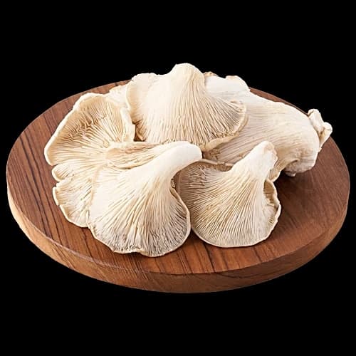 Oyster Mushrooms