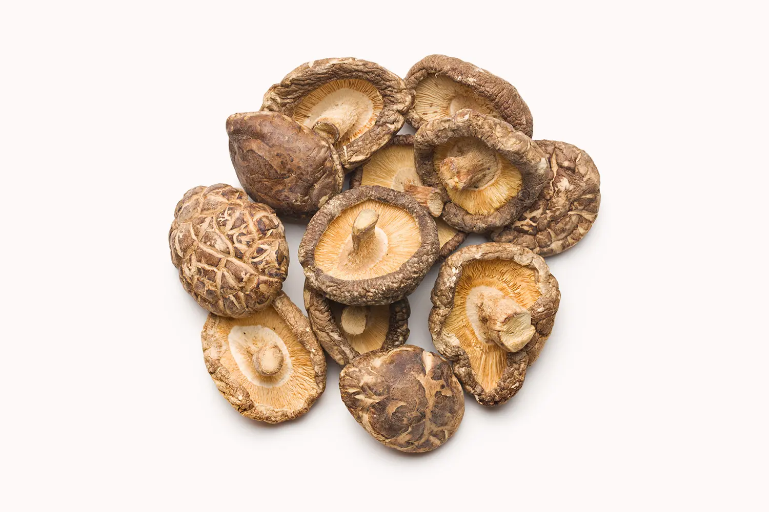 Shiitake Mushrooms