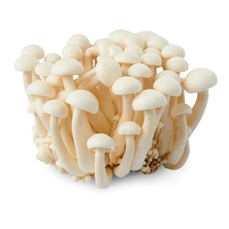 Shimeji Mushrooms