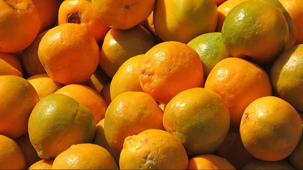Nagpur Oranges