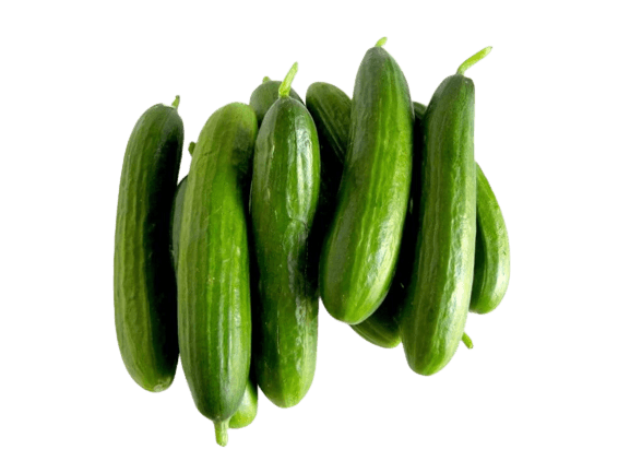 Turkish Cucumber