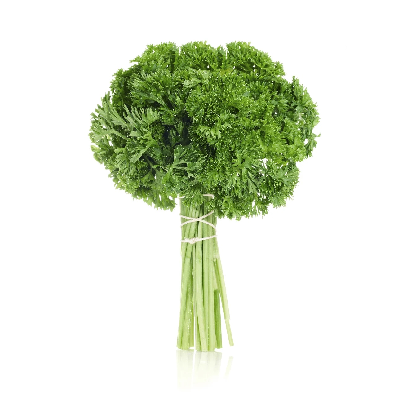 Curly Parsley